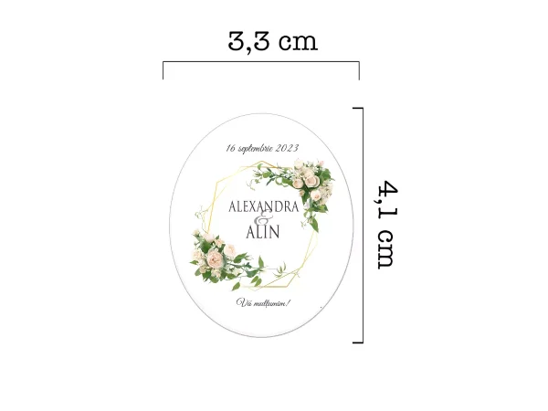 SET BORCANE EVENIMENTE,MODEL 1!