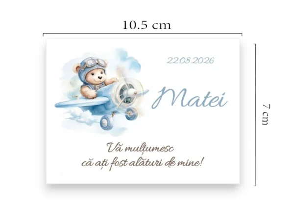 Marturie magnetica:Model Winnie the Pooh(M225)!