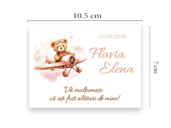 Marturie magnetica:Model Winnie the Pooh(M226)!