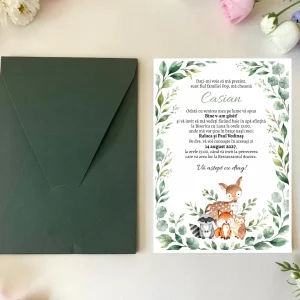 Invitatii de botez: N83_x_M457!